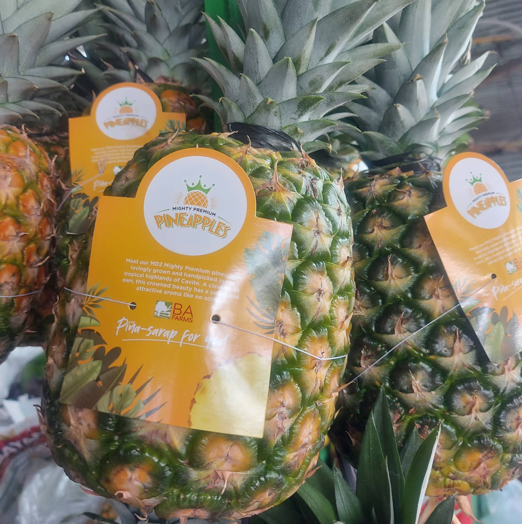 Organic Pineapple